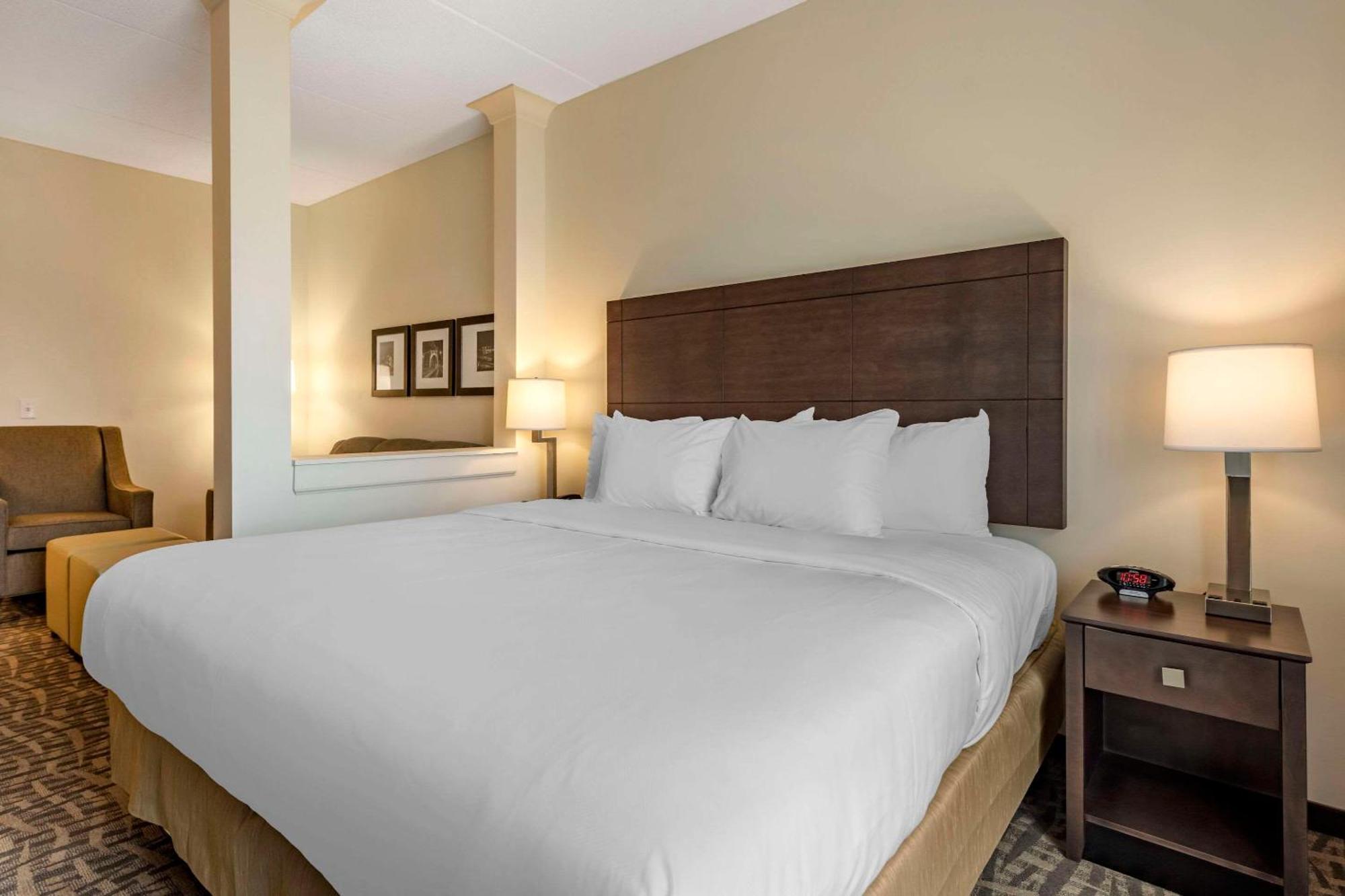 Comfort Inn & Suites Pittsburgh-Northshore Buitenkant foto