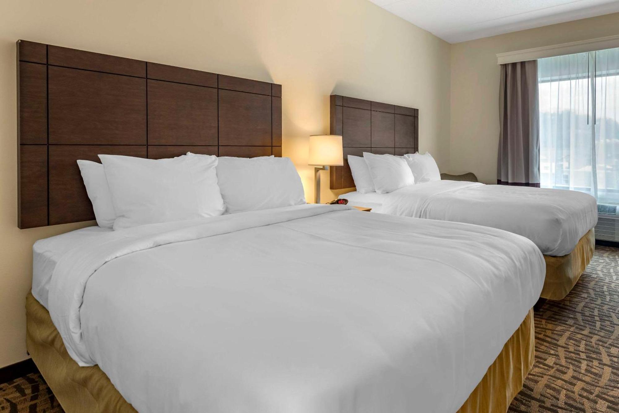 Comfort Inn & Suites Pittsburgh-Northshore Buitenkant foto